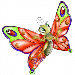 Butterfly Images | Butterfly Art | Pinterest | Butterfly images ...