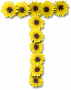 Alfabeto sunflowers ..... | fonts | Pinterest | Sunflowers, Alphabet ...
