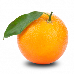 Orange Clipart | jokingart.com Orange Clipart