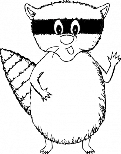 Raccoon Black And White Clipart