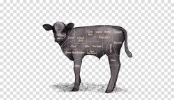 Flank Steak, Chuck Steak, Veal, transparent png image ...