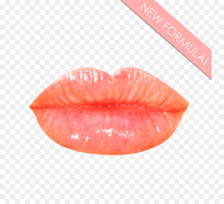 Peach Flower clipart - Lipstick, Cosmetics, Orange ...