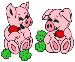 Domestic pig Cartoon Clip art - Westie Clipart 798*662 transprent ...
