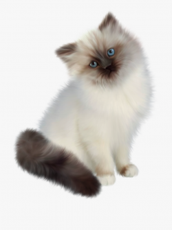 Kittens Clipart 5 Kitten - White Kitten With Transparent ...