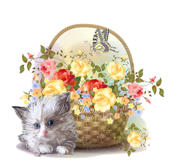 Kitten Flower Basket Clip art - Cat baskets edge 1000*976 transprent ...