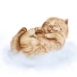 Pin by Lidia on Kot Clipart / Cat Clipart | Pinterest | Cat clipart