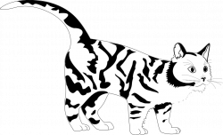 Cat Tiger Black and white Clip art - Black Cat Graphics 999*609 ...