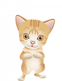 Bengal cat Turkish Angora Kitten Clip art - Brown kitten 504*656 ...