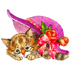 Kitten Cat Watercolour Flowers Watercolor painting Illustration ...