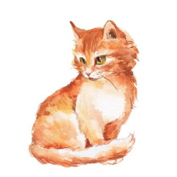 Ginger Cat Clip Art, Vector Images & Illustrations - iStock ...
