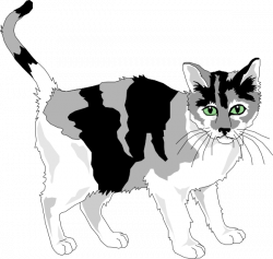 Black And Gray Cat Clip Art at Clker.com - vector clip art online ...