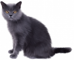 Norwegian Forest cat Persian cat Kitten Clip art - Witch Cat 1424 ...