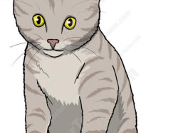 Free Kitten Clipart, Download Free Clip Art on Owips.com