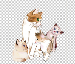 Baby Cats Kitten Felidae PNG, Clipart, Animal, Animals ...