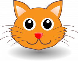 Cat Pet Cute Happy Face Head | Cat | Pinterest | Image cat, Face and Cat