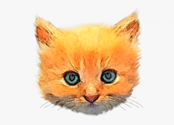 Kitten Image - Kitten Head Png , Transparent Cartoon, Free ...