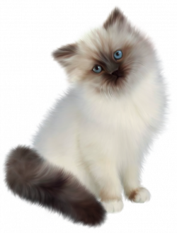 Kitten Transparent PNG Clipart | ANIMALS CLIP ART | Pinterest ...