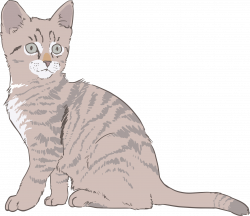 Clipart - Kitten Line Art Colored