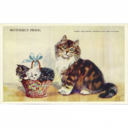 Artist Signed Mabel Gear Vintage Postcard of Mother Cat with Basket ...