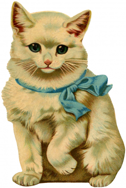 12 Beautiful Vintage Kitten and Cat Pictures! - The Graphics ...