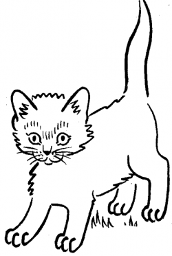 Kitten Clipart Black And White | Free download best Kitten ...