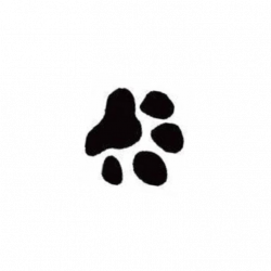 Free Cat Paw Prints Images, Download Free Clip Art, Free Clip Art on ...