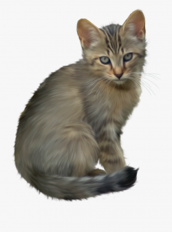 Cute Kitten Png Clipart - Clipart Kitten #51229 - Free ...