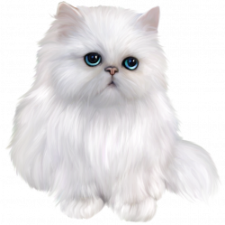 White Persian Cat Clipart | ✪ Clipart ✪ | Pinterest | Cat clipart ...
