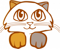 Free Image on Pixabay - Animal, Cat, Feline, Kitten, Pet