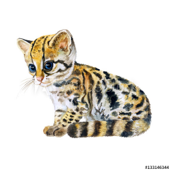 Watercolor portrait of ocelot kitten with dots, stripes ...