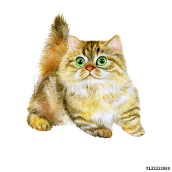 Watercolor portrait of Minuet or napoleon cute kitten ...