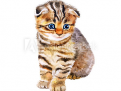Free Kitten Clipart purr, Download Free Clip Art on Owips.com