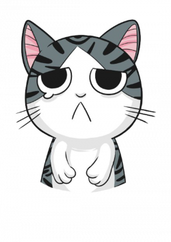 Kitten Cat Whiskers T-shirt - Sad cat 550*778 transprent Png Free ...