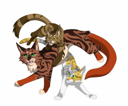 Kitten Tiger Cat Warriors Heathertail - play time 978*817 transprent ...