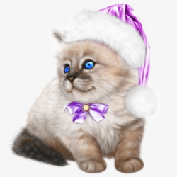 Tube Noel Chat Purple Christmas, Christmas Cats, Winter ...