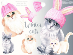Watercolor cat clipart, cute kitty, winter animal, kitten clipart, cat  graphics, cold weather, watercolor winter, cute cat png