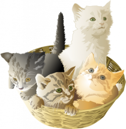 Free Kitten Basket Cliparts, Download Free Clip Art, Free ...