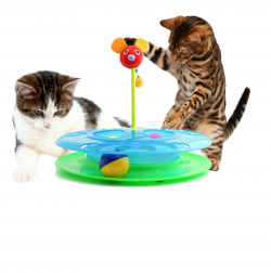 Cheese Chase Track Ball Cat Toy - Mr. Peanut's