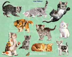 Cute Kittens Digital Realistic Clip Art, PNG, Printable, Pets, Cats