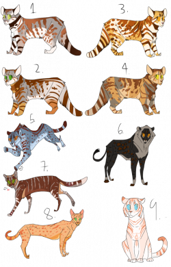Big Cat Point Adoptables (OPEN 6/9) by Marietsloth on DeviantArt