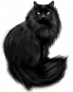 crazy catt | clip art mix !! | Pinterest | Black kitty, Kitty and Cat