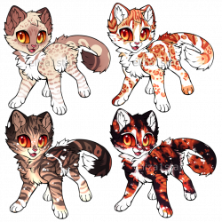 Kitty Cat Auction 1 || CLOSED by Chintzy-Adopts on DeviantArt
