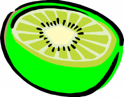 Kiwifruit Drawing Clip art - Kiwis Picture 1280*1006 transprent Png ...