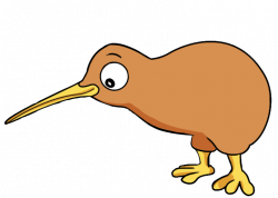 Bird Cartoon Drawing Clip art - kiwi bird 730*522 transprent Png ...