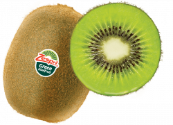 Images Of Kiwi Fruit – savingourboys.info