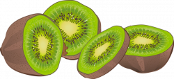 28+ Collection of Kiwi Fruit Clipart | High quality, free cliparts ...