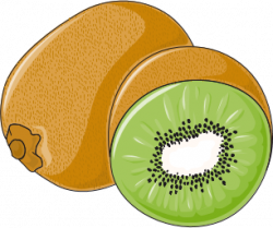File:Kiwi fruit clip art.png - Wikimedia Commons