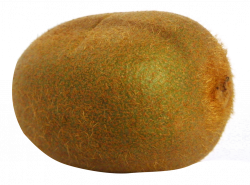 Kiwi Slices PNG Image - PurePNG | Free transparent CC0 PNG Image Library