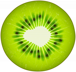 Circle of Kiwi Transparent PNG Clip Art Image | Gallery ...