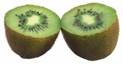 Kiwi Fruit PNG Transparent Image - PngPix